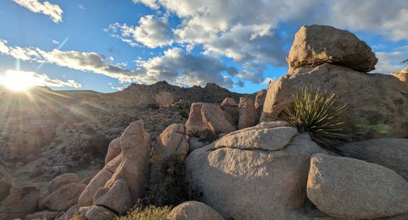 large boulders dot the landscape in joshua tree national park.